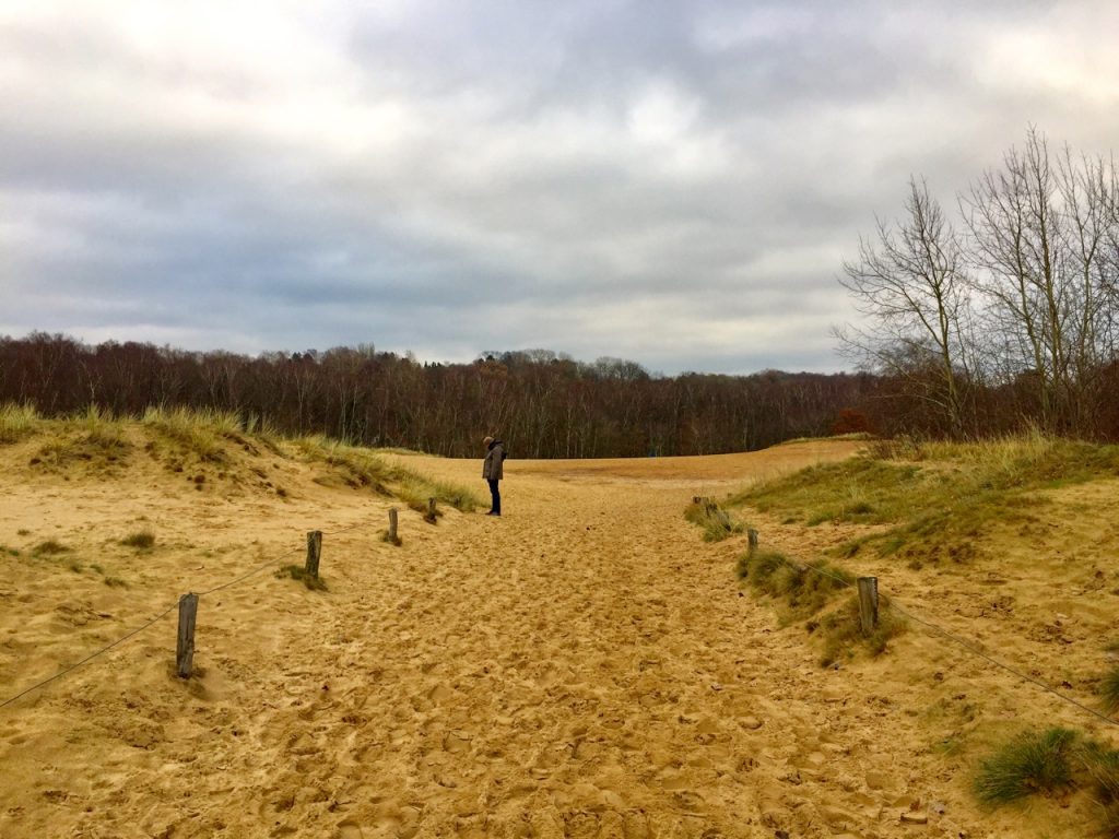 Wandertipp Boberger Duenen