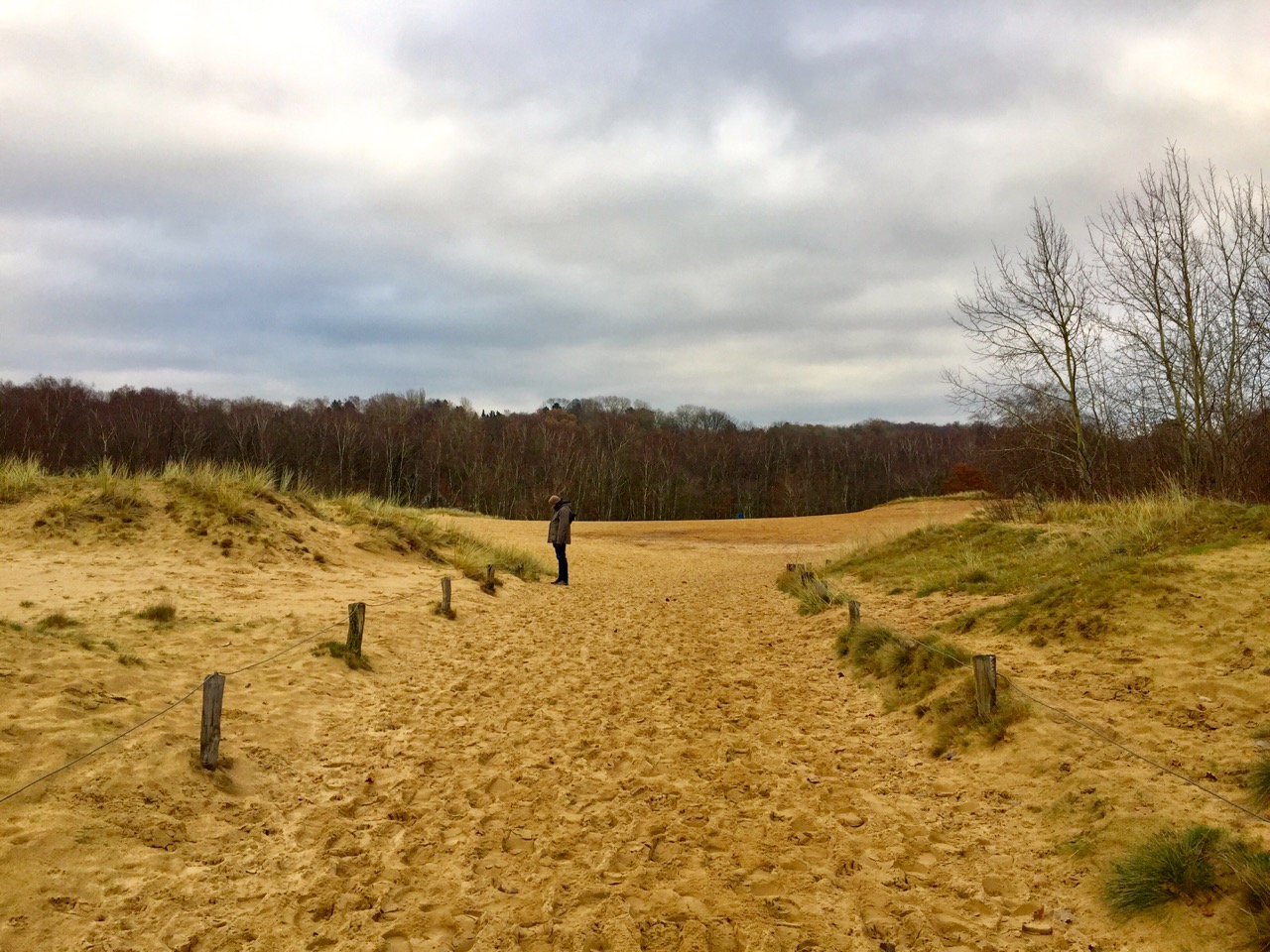 Wandern Boberger Duenen