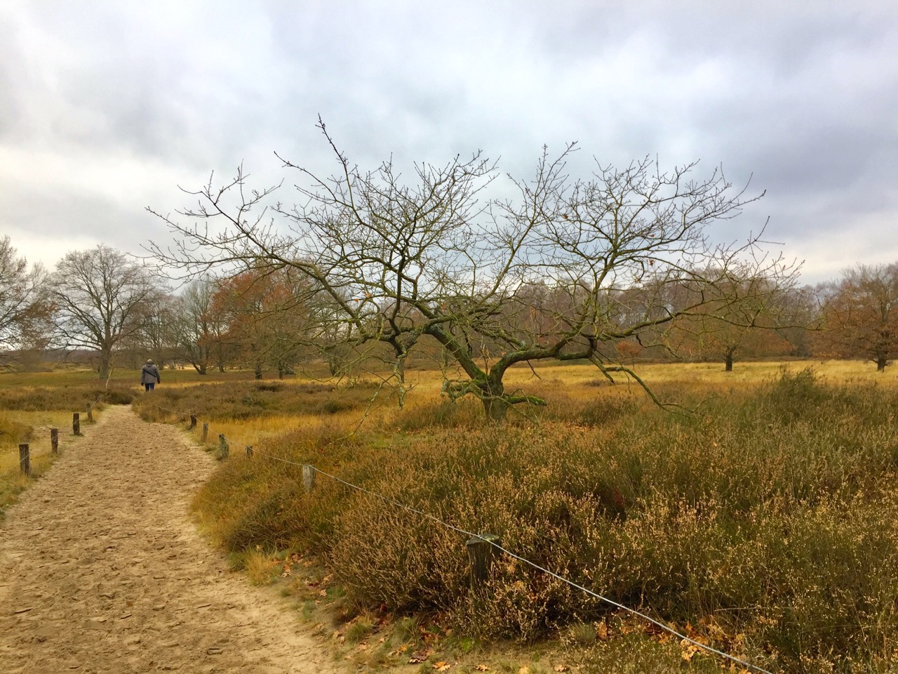 Boberger Duenen Hamburg – Ist das wirklich noch Hamburg?