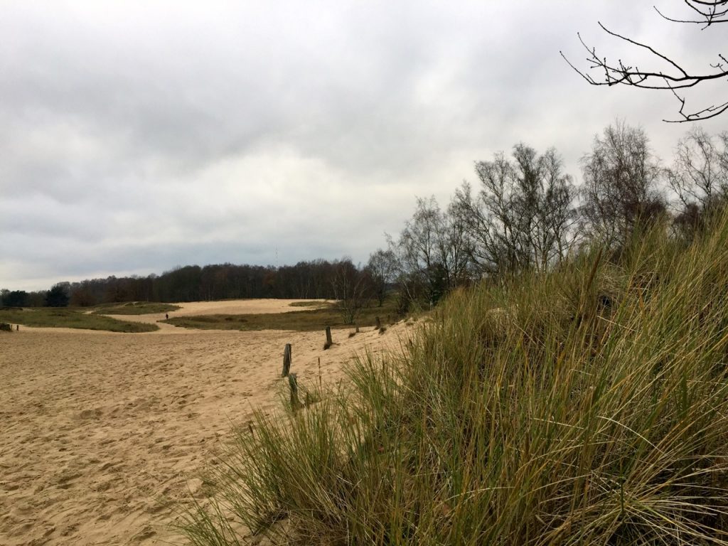 Eine Duene mitten in Hamburg - Doch wo gehts hier zum Meer?