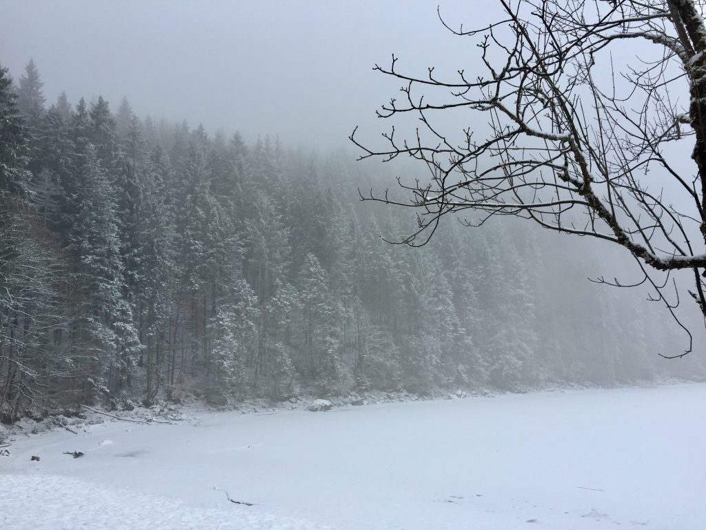 Winter an der Zugspitze - Bei Schnee & Nebel am Eibsee