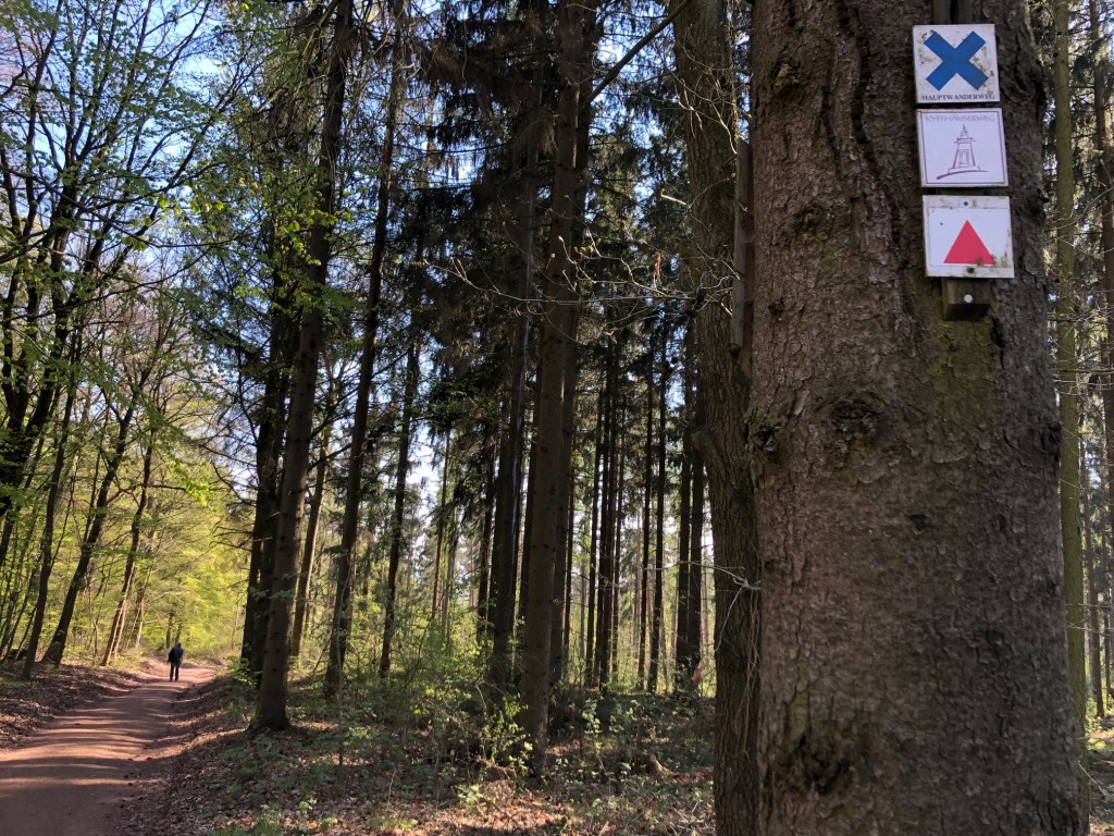 Kyffhäuserwald-Wandern-Janett-Schindler