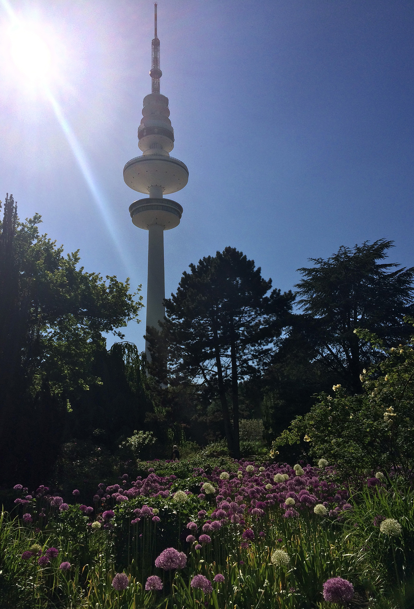 Lieblingsplatz Planten un Blomen Hamburg