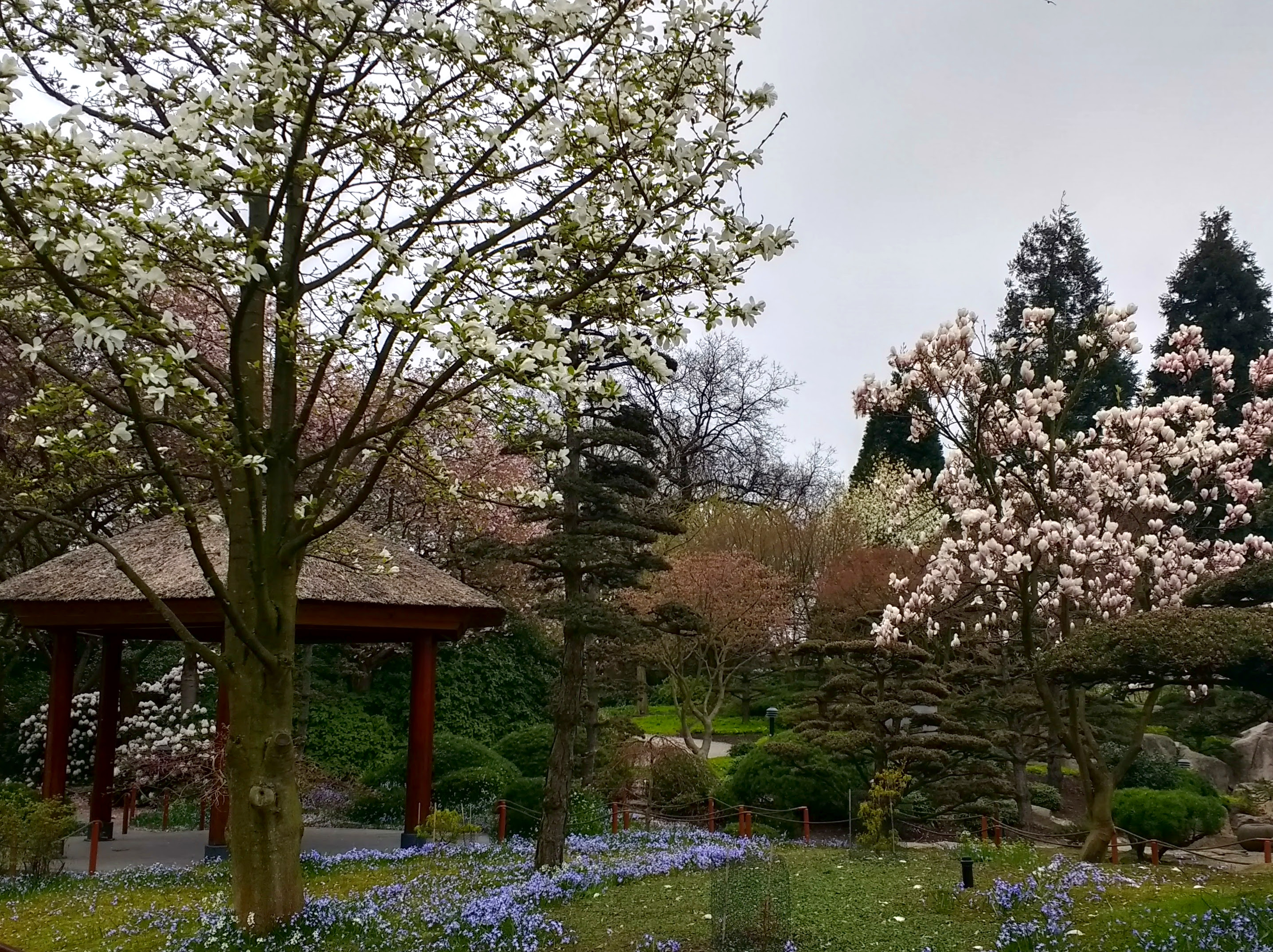 Lieblingsplatz auch von Nele – Planten un Blomen