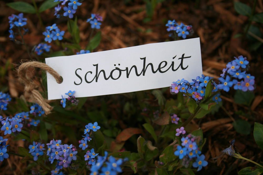 Schoenheit_2