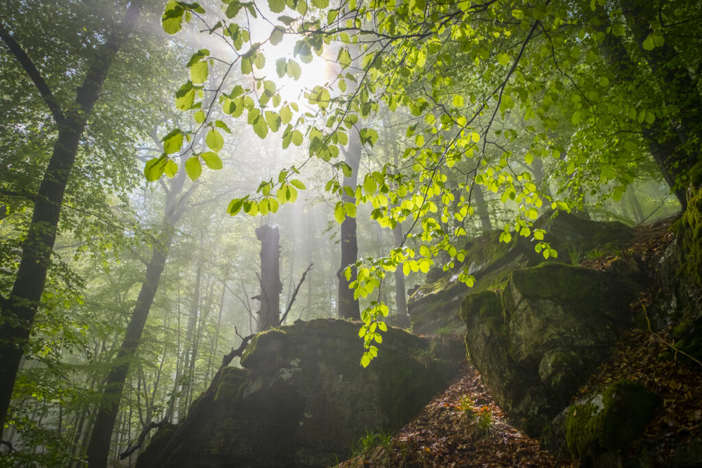 Seelenort_Hollenfelsen_Bödefeld (3)