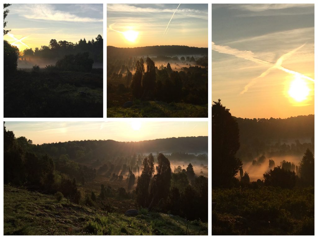 Blick auf den Totengrund - Sonnenaufgang