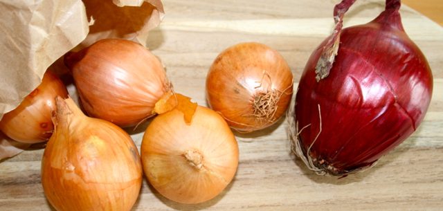 Zwiebel - lecker & gesund