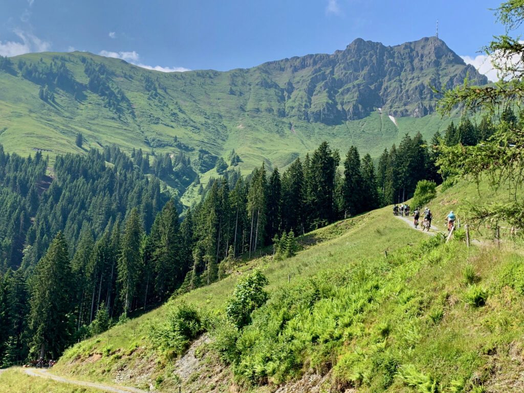 Mountain Bike Trails Kitzbuehler Alpen