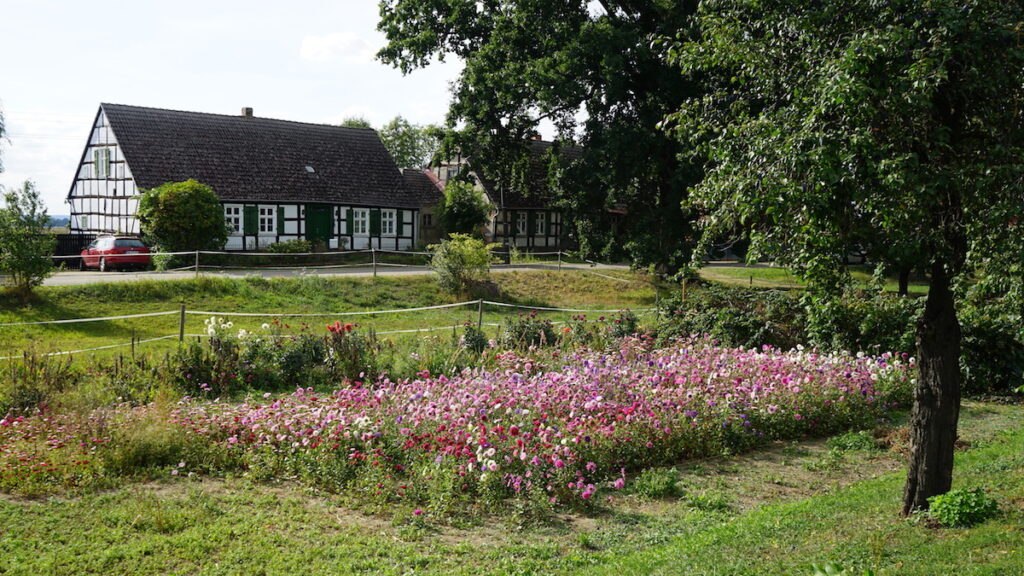 Dorfanger und Kolonistenhaeuser in Neulietzegoericke im Oderbruch. Foto: Beate Ziehres