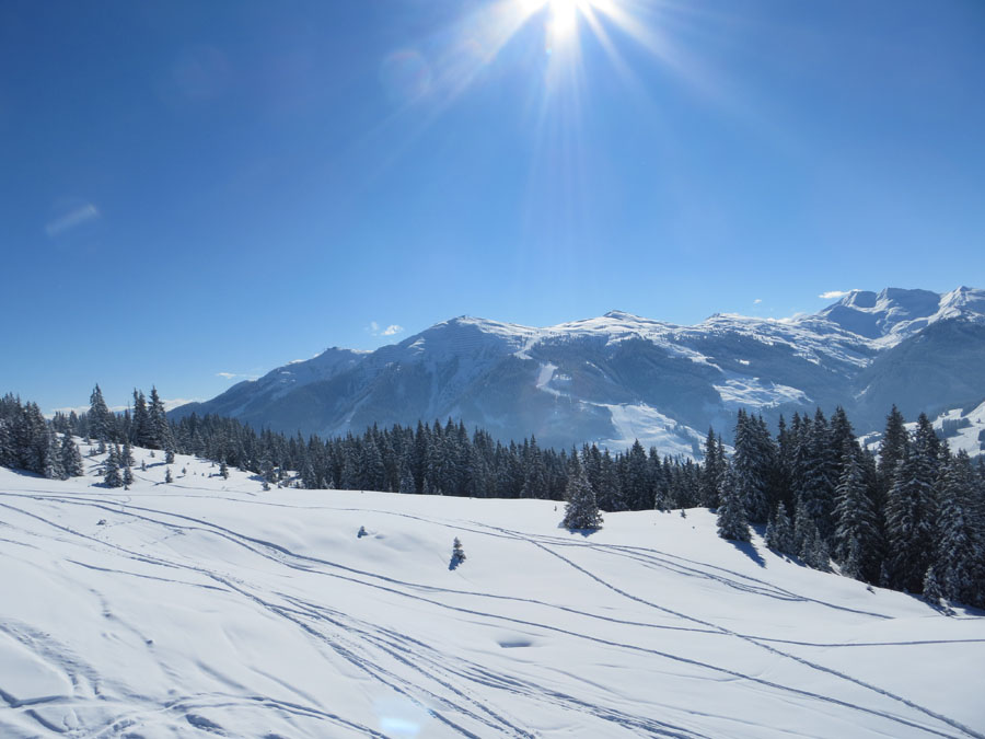 Skilandschaft Österreich - Lieben Leben Reisen
