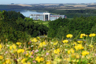 Natur spüren zwischen Wiese, Wald und See