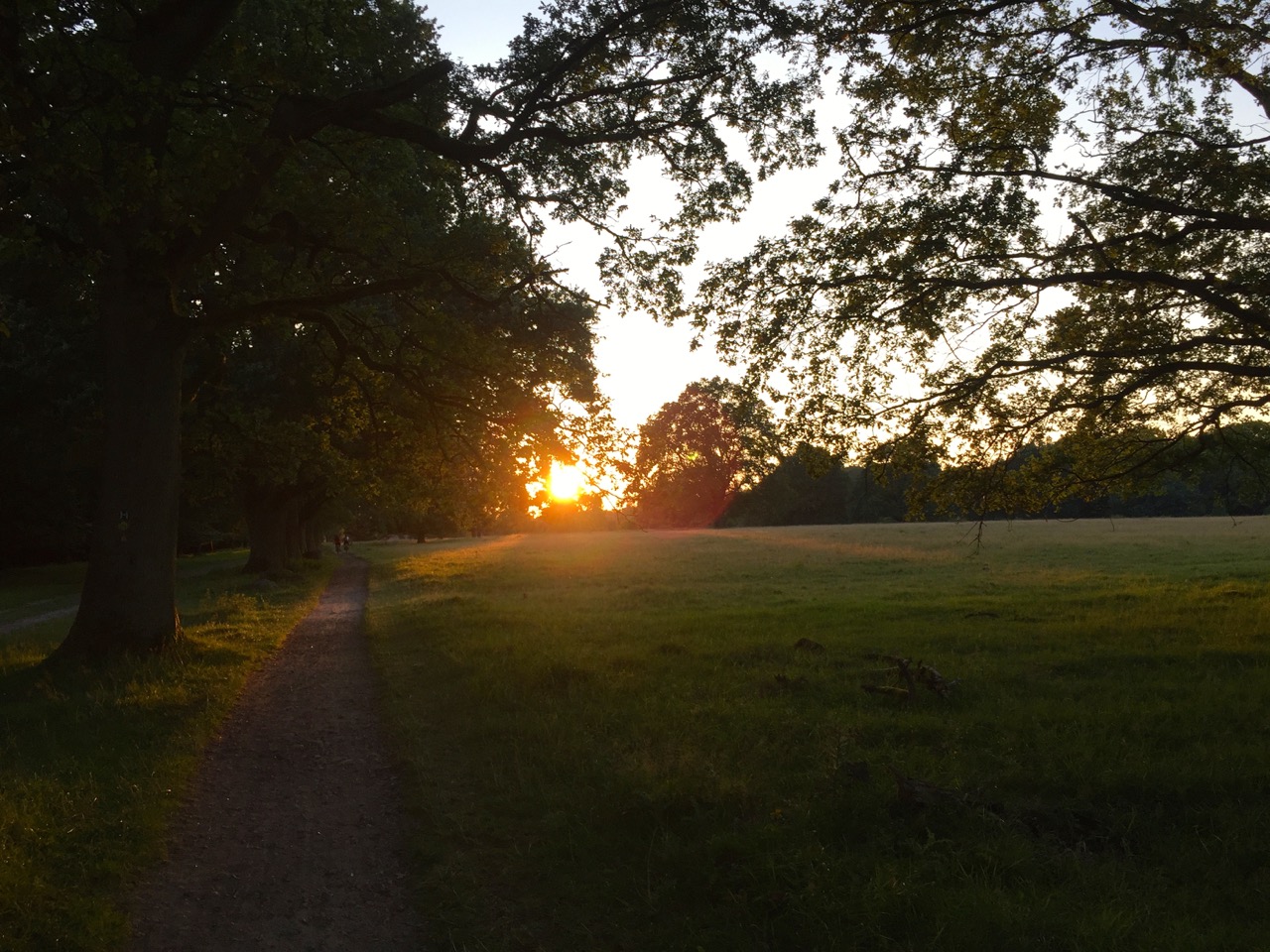 Heideblüte: Wandern auf dem E1