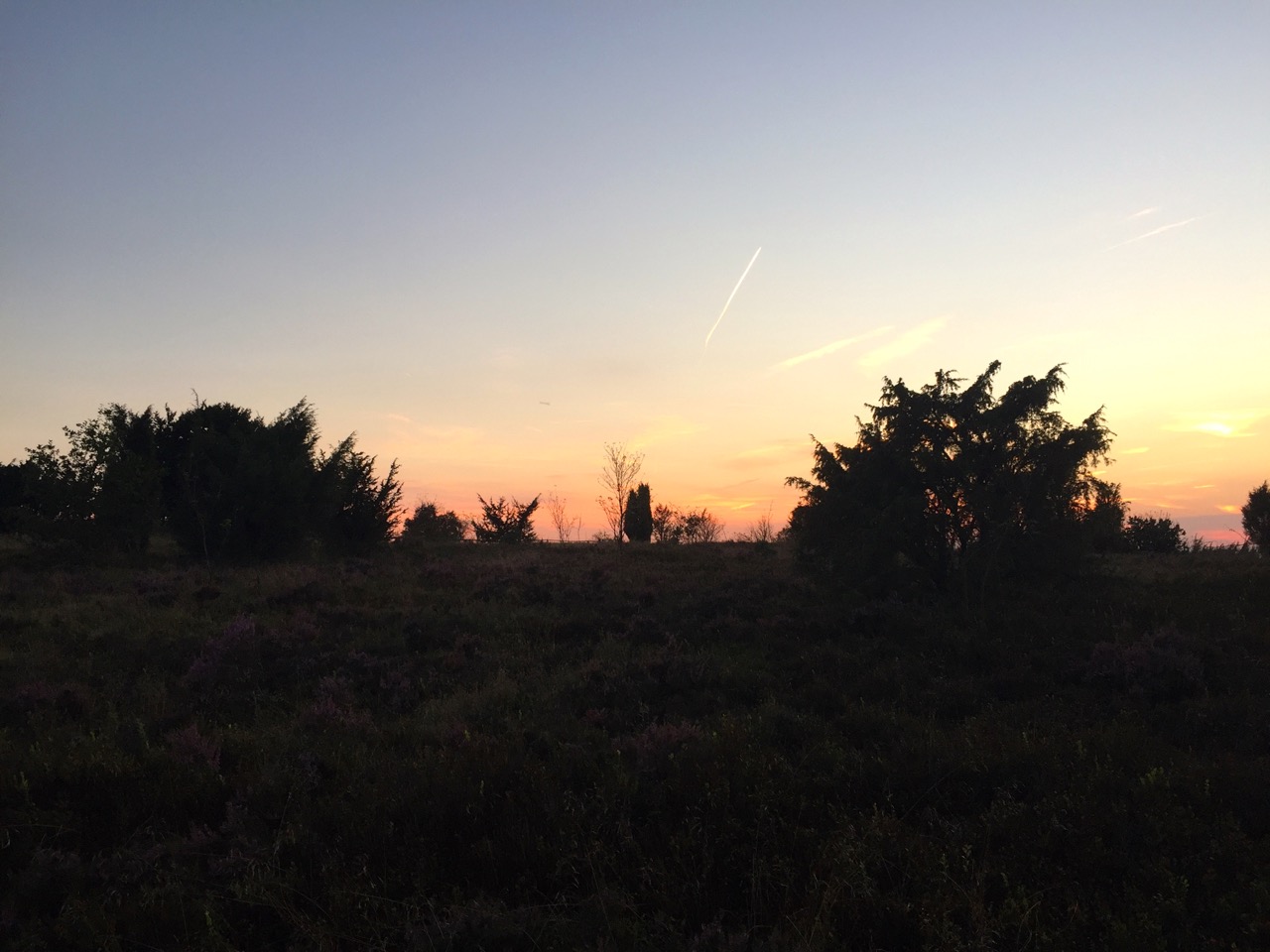 Lüneburger Heide: Wandern auf dem E1 